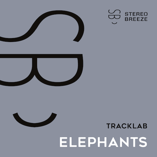 TrackLab - Elephants
